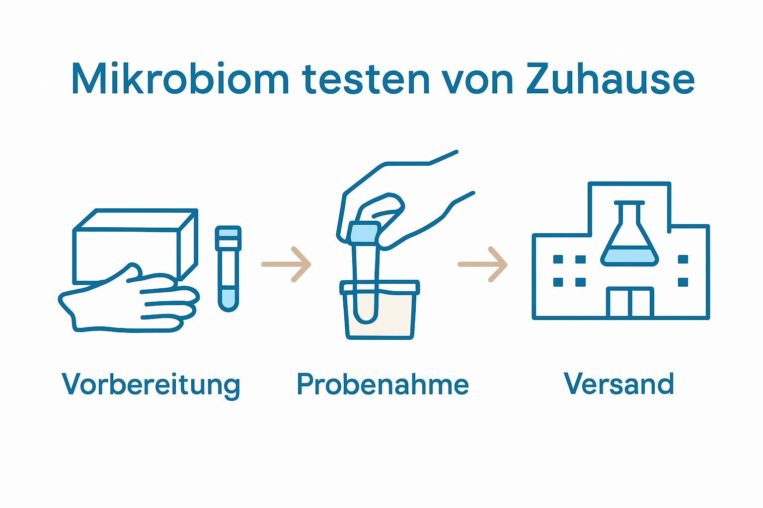 Einfache Ablauf-Infografik: Testkit, Probe entnehmen, Probe versenden