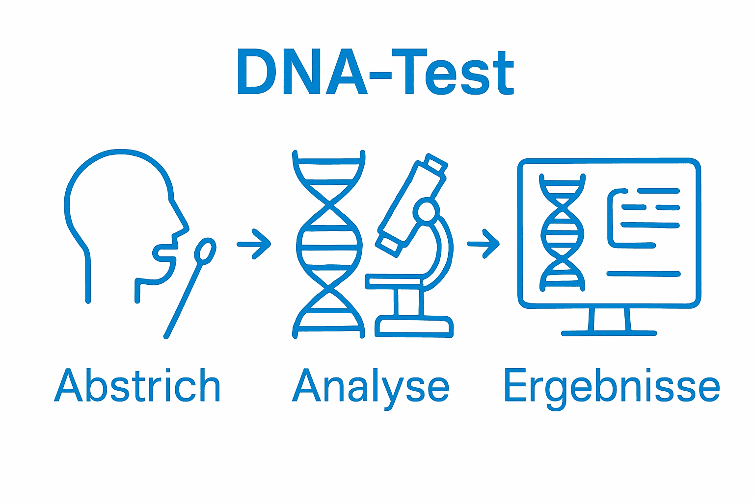 Infografik Ablauf DNA-Test mit Probenentnahme, Analyse, Ergebnisauswertung