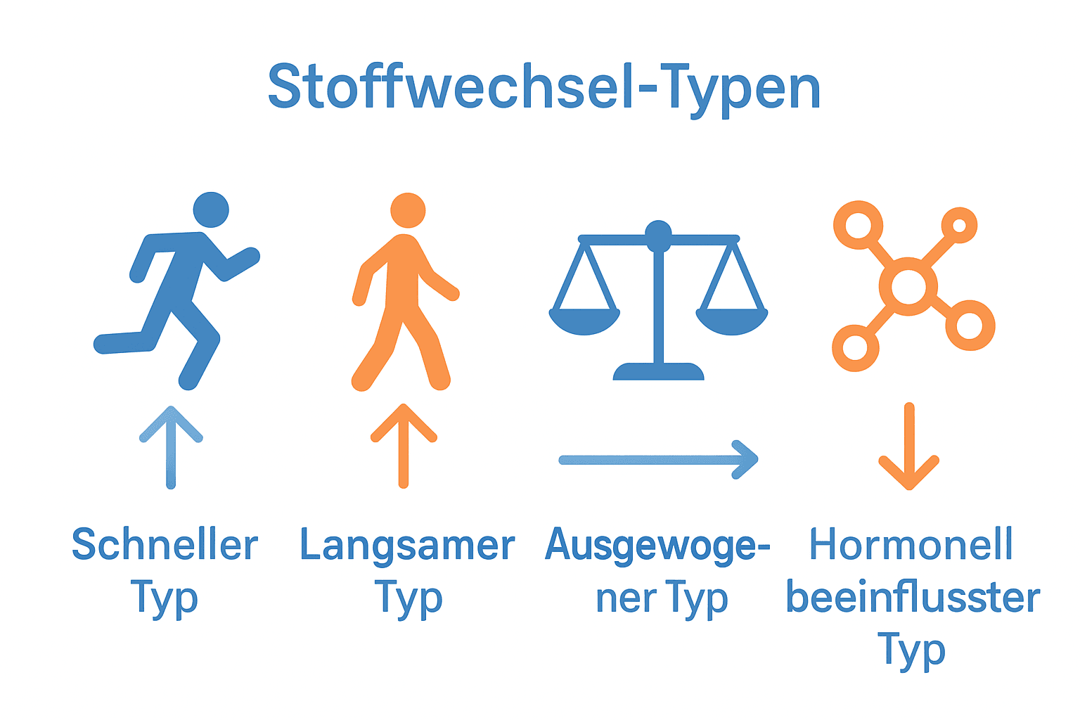 Vergleich Stoffwechsel-Typen als Icons