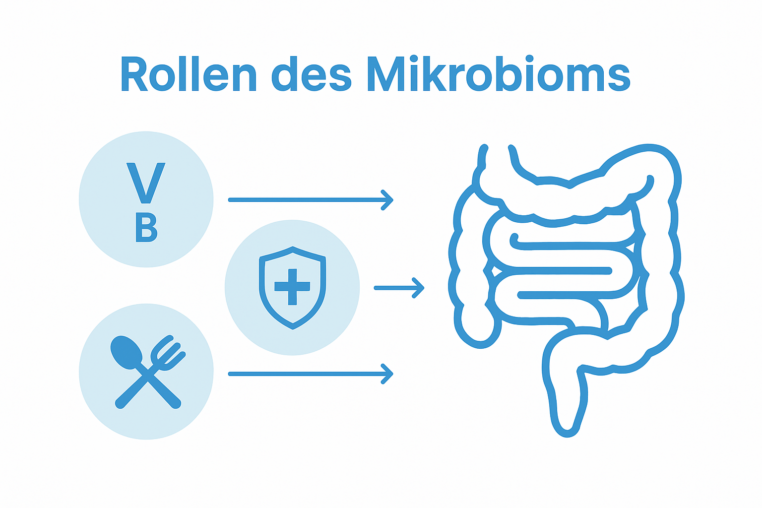 Infographic of gut microbiome key functions