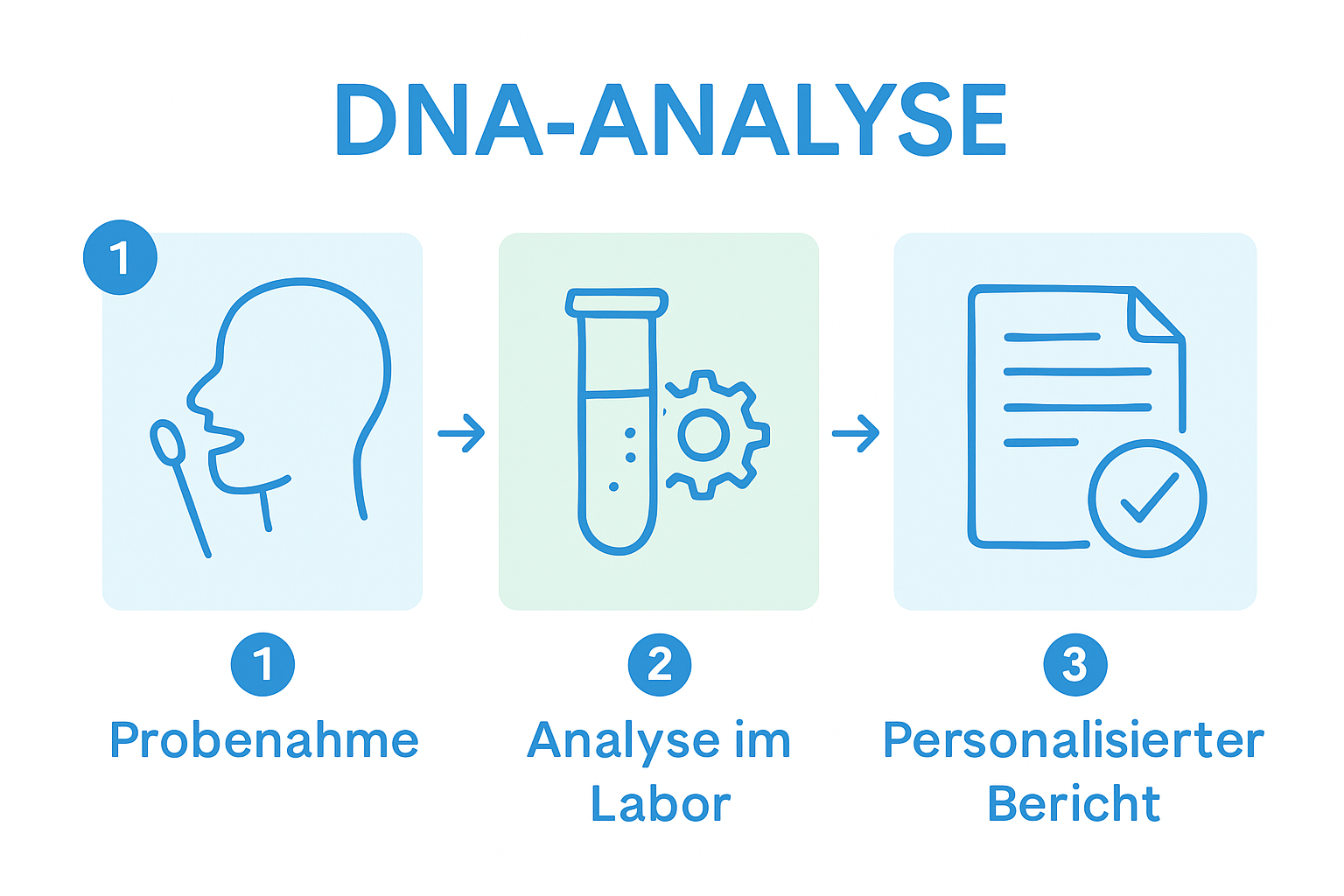 Infographic showing three DNA analysis process steps