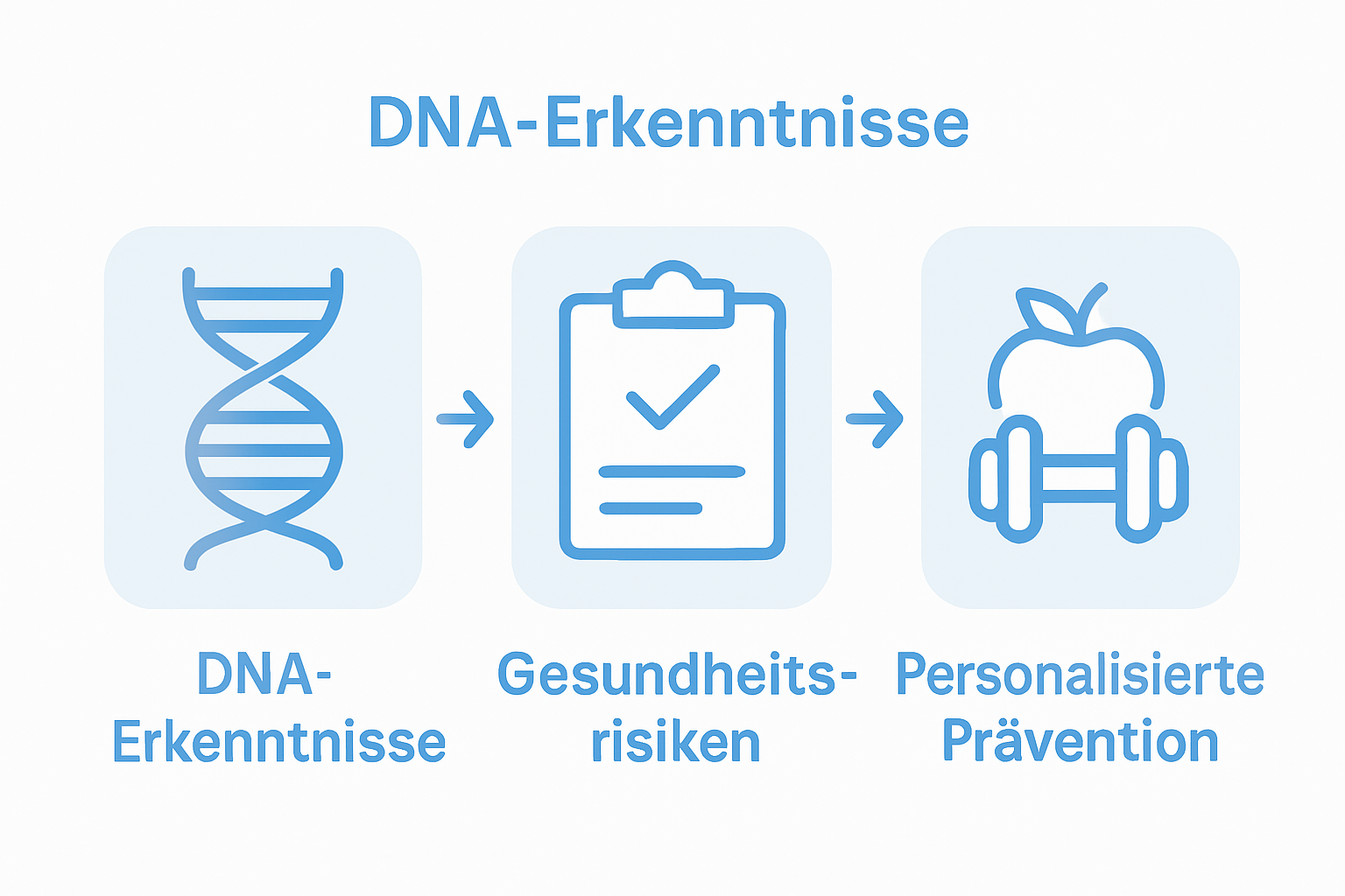 Grafik: Von der DNA über das Gesundheitsrisiko zur Vorbeugung