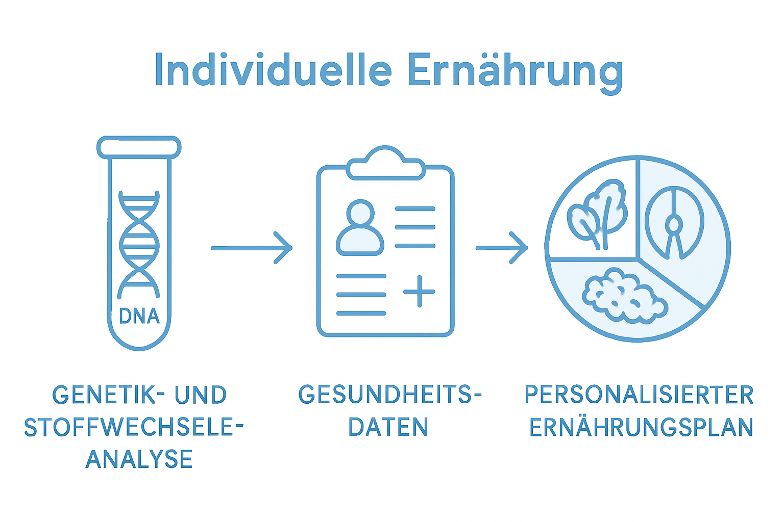 Infografik: In wenigen Schritten zur individuellen Ernährungsstrategie – von der Analyse bis zum persönlichen Plan