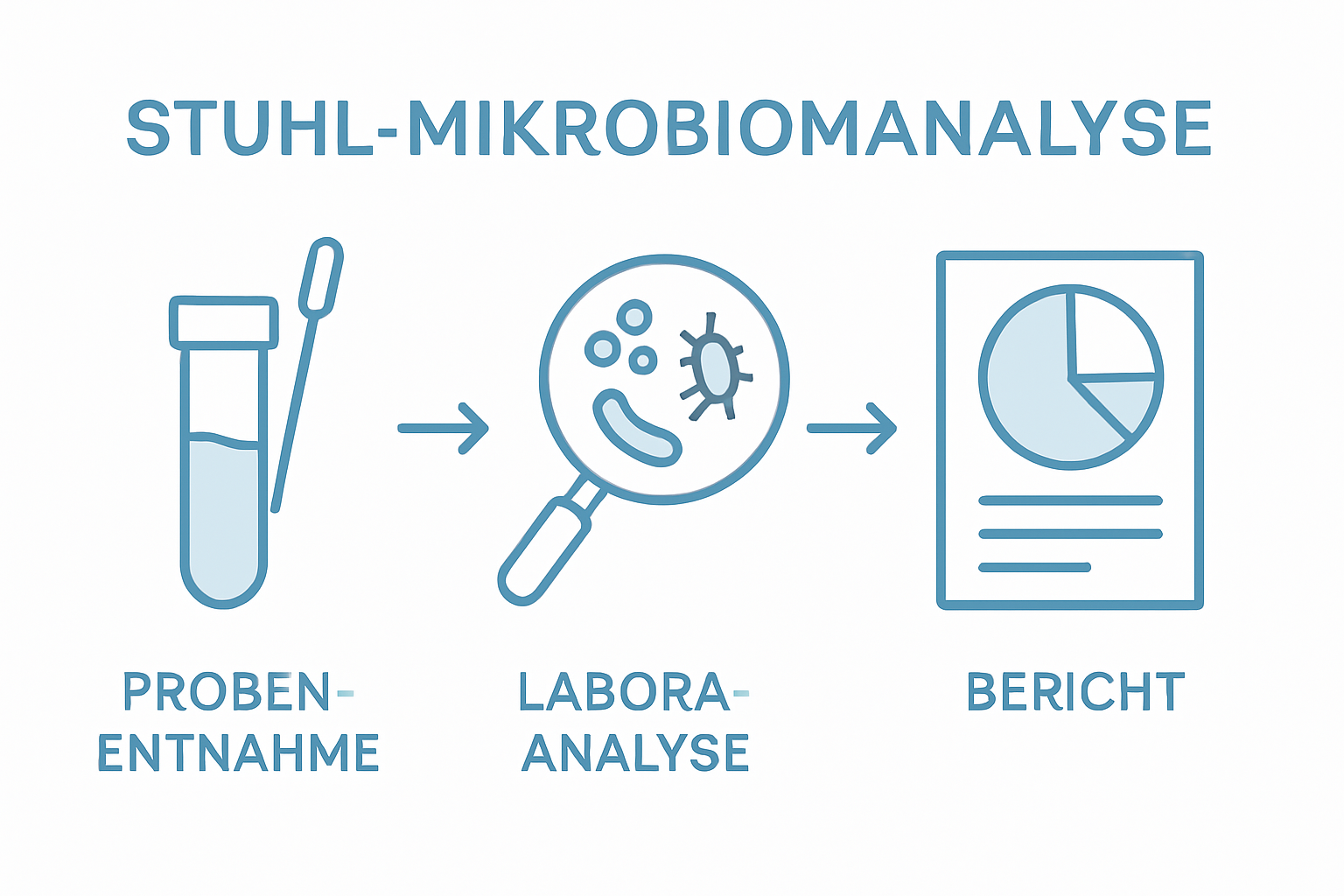 Ablauf einer Mikrobiom-Analyse – Schritt für Schritt als Infografik dargestellt