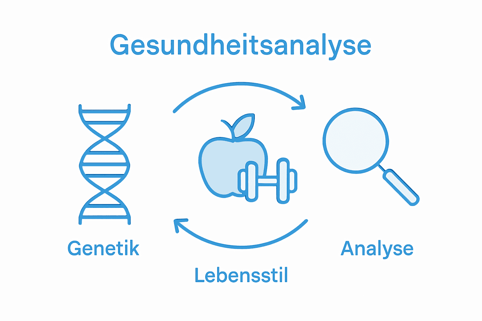 Infografik: Wie Genetik, Lebensstil und individuelle Auswertung zusammenwirken