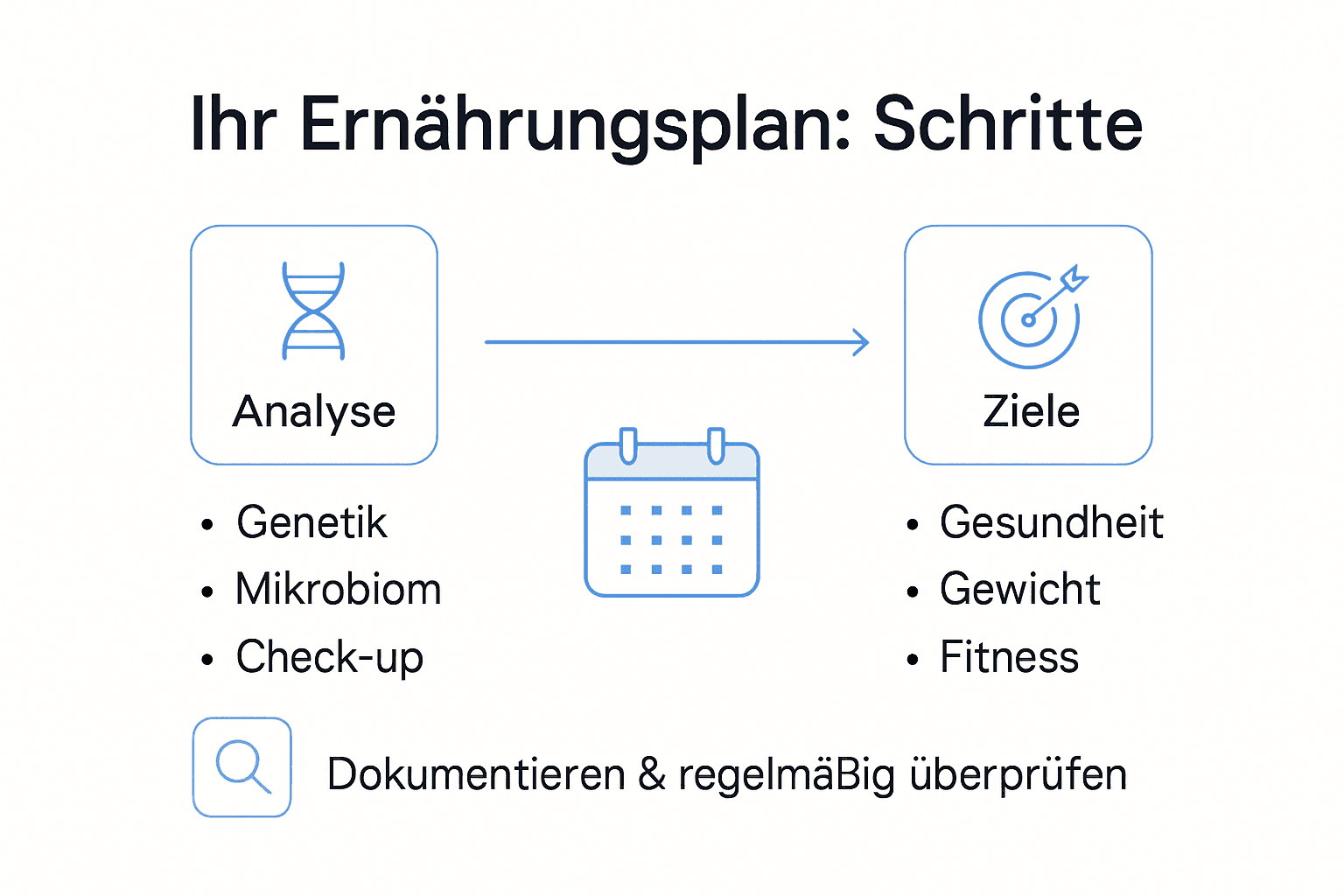 Übersicht: So entsteht ein individueller Ernährungsplan – die wichtigsten Schritte auf einen Blick