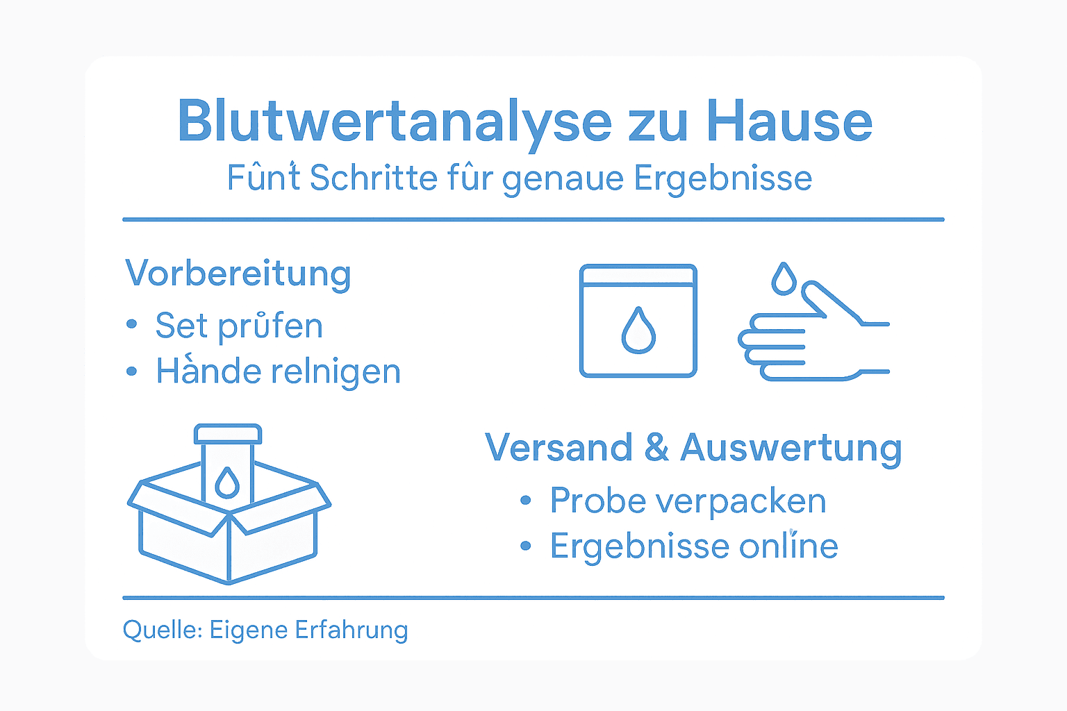 Übersicht: Fünf Schritte zur Analyse Ihrer Blutwerte – so geht’s einfach und verständlich