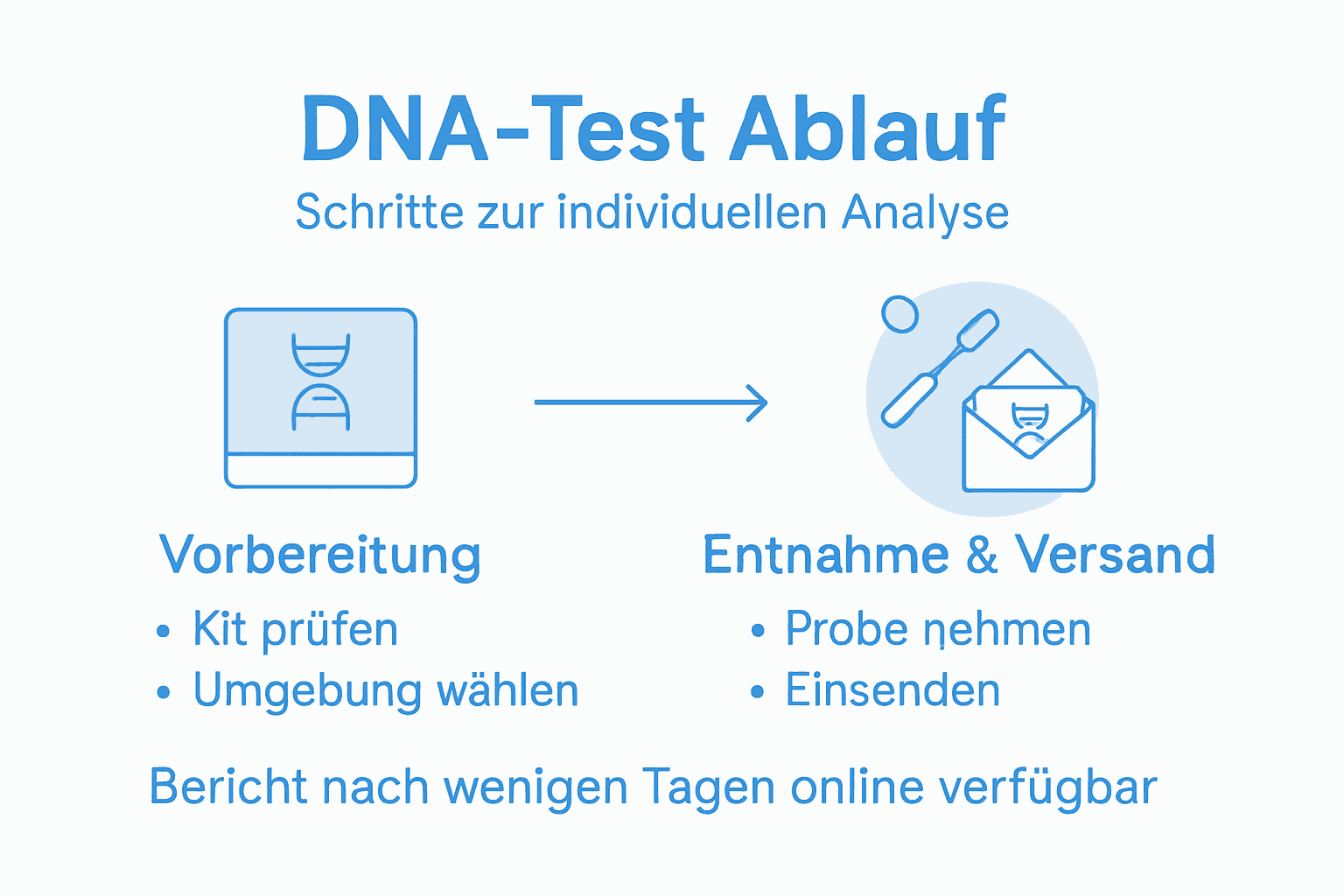 Passo a passo: como funciona um teste de DNA – explicado de forma clara em um infográfico