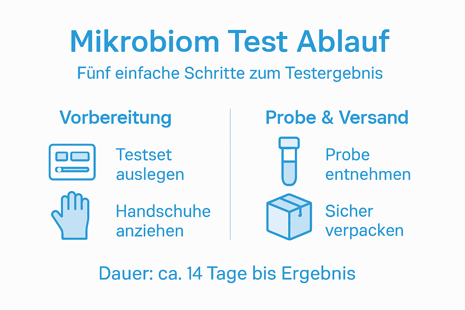 Schritt-für-Schritt-Infografik: So funktioniert der Mikrobiom-Test für zuhause