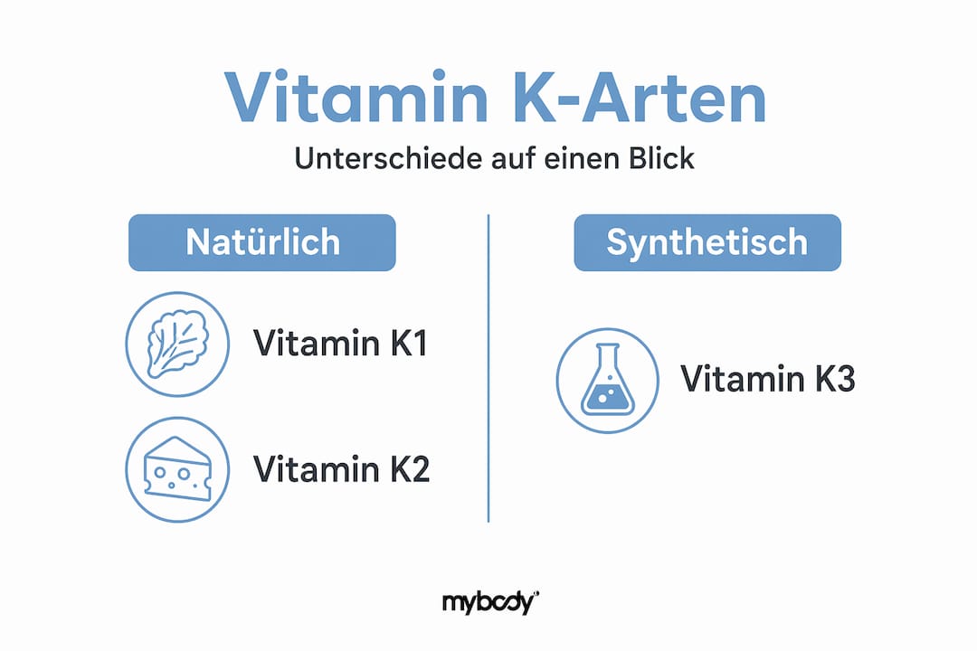 Vergleichsgrafik zeigt Unterschiede zwischen natürlichem und synthetischem Vitamin K