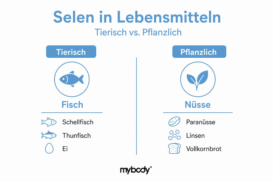 Übersichtsgrafik: Wie viel Selen steckt in verschiedenen Lebensmitteln?
