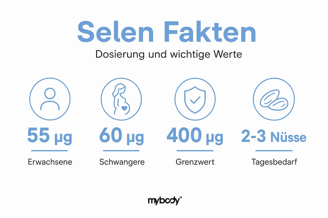 Selen Dosierung anschaulich dargestellt – Zahlen und Fakten auf einen Blick