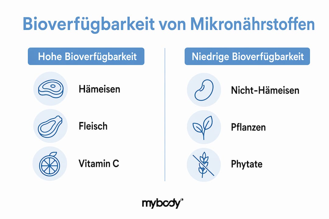 Grafische Übersicht: Wie gut unser Körper Mikronährstoffe aufnimmt