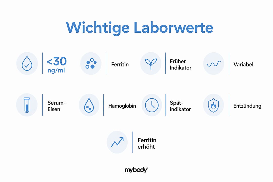 Infografik: Wichtige Laborwerte bei Eisenmangel und was sie aussagen