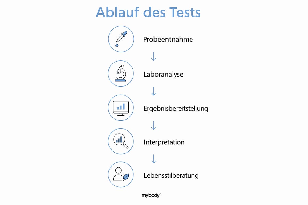 Die Infografik veranschaulicht Schritt für Schritt, wie ein Test auf oxidativen Stress abläuft.
