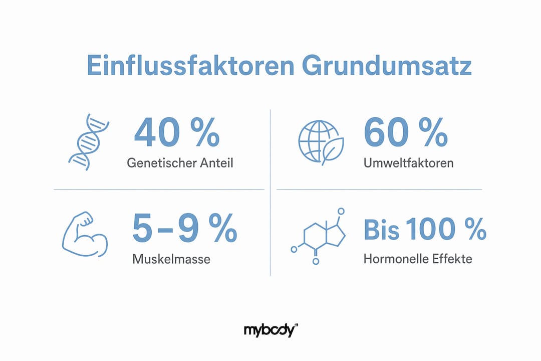 Übersicht: Was beeinflusst den Grundumsatz unseres Körpers?