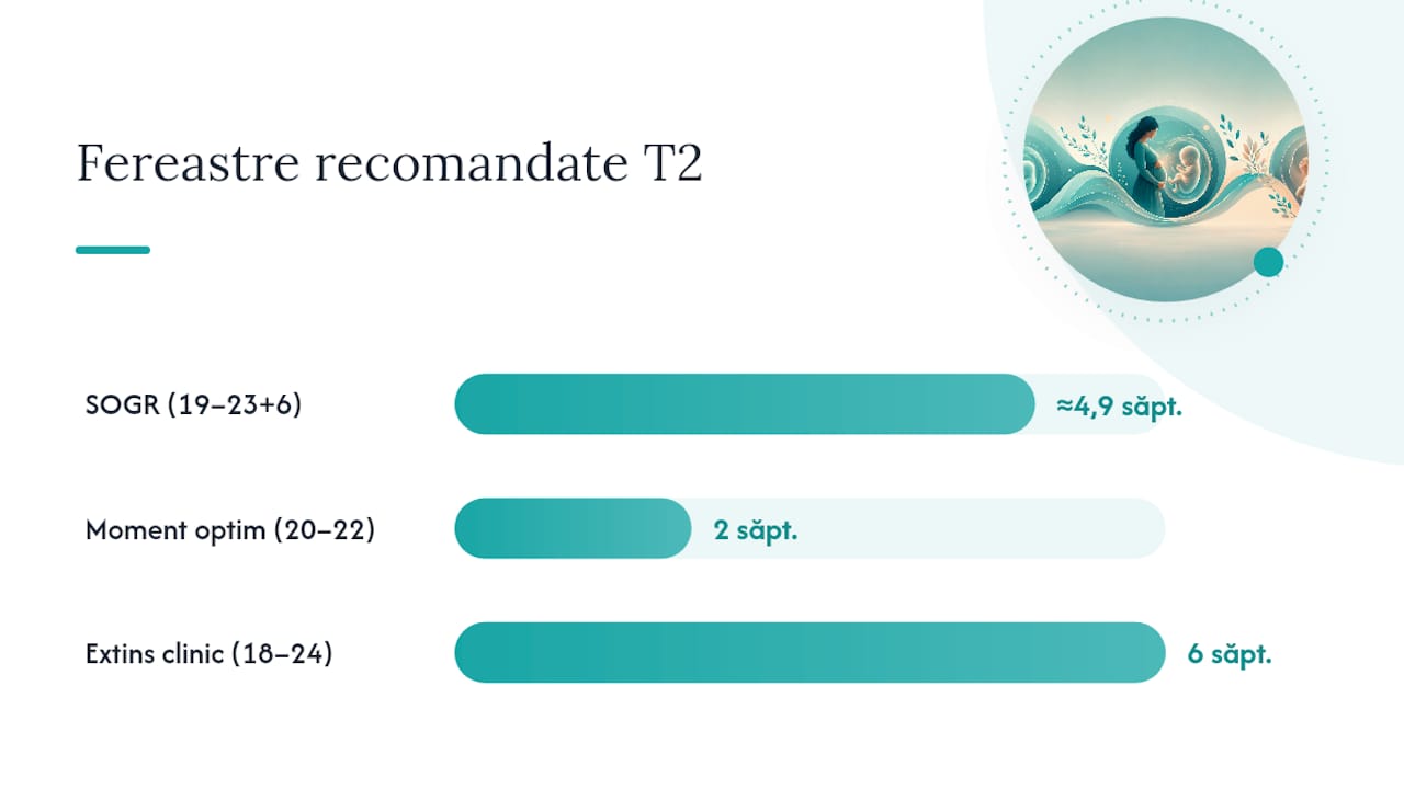 Trimestrul II: ferestra optimă, ce evaluează şi importanţa sa clinică — overview diagram