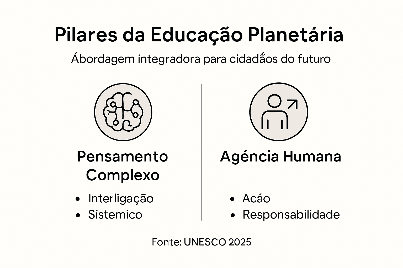 Infográfico: os principais fundamentos da educação para a sustentabilidade do planeta