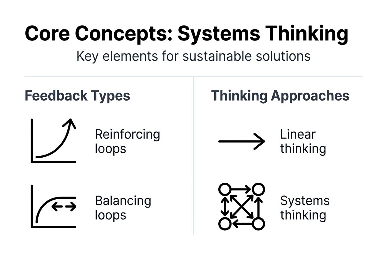Systems Thinking For Sustainability: A Guide For Young Innovators 2 Infographic on feedback types and thinking approaches