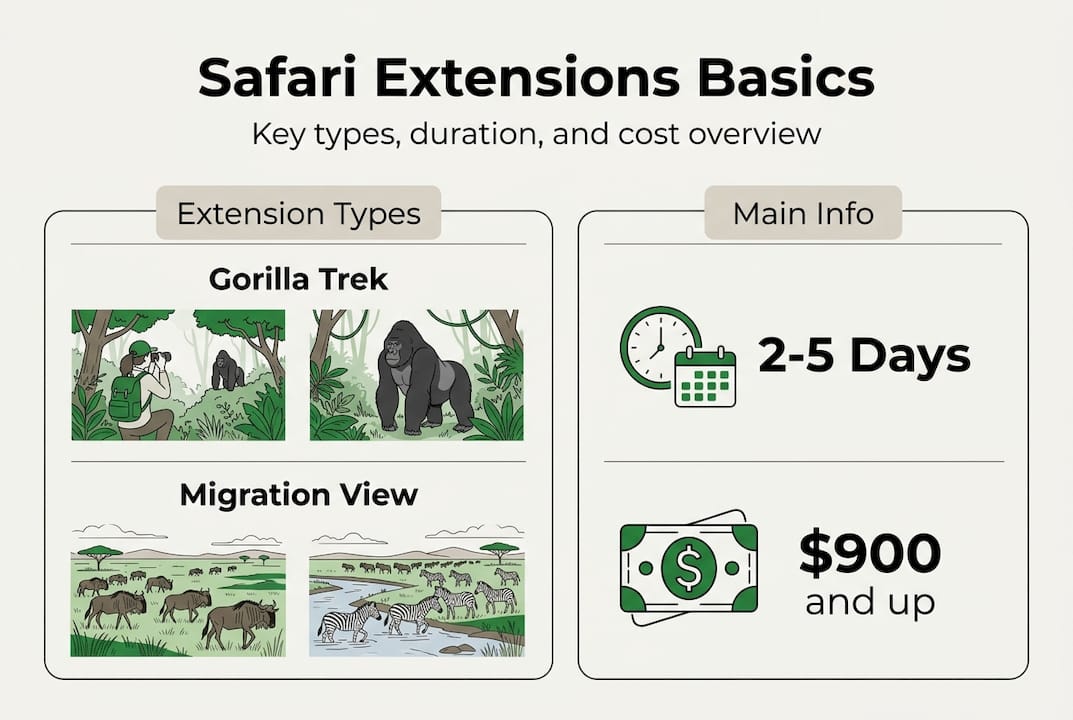 Infographic showing safari extension types and basics