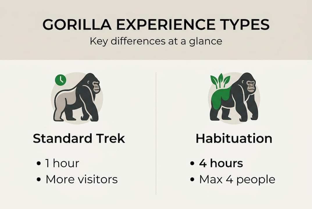 Infographic comparing gorilla trekking types