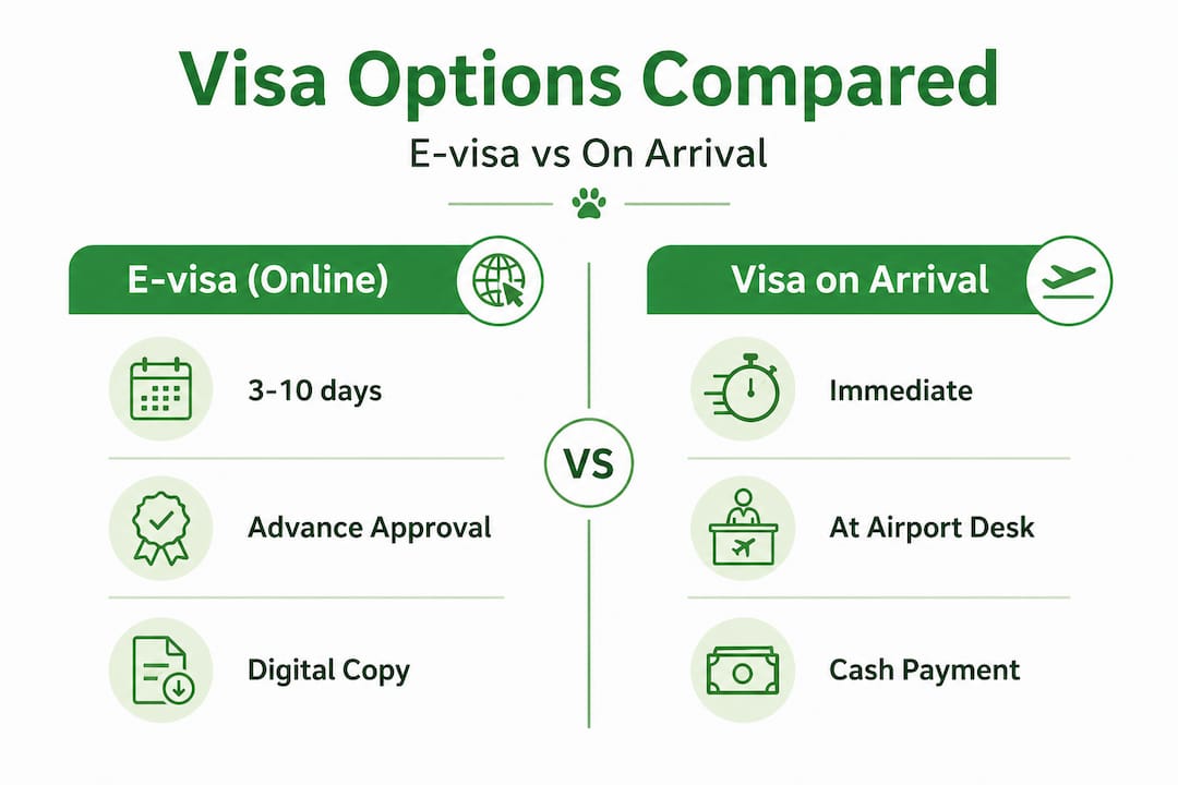 Infographic comparing e-visa and visa on arrival options