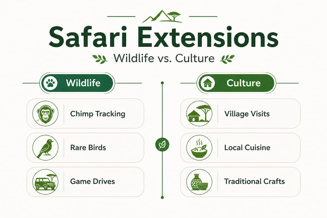 Infographic comparing safari extension types