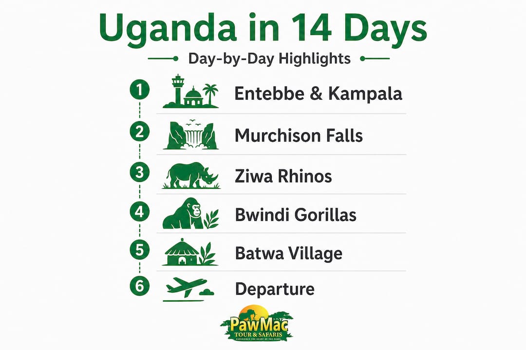 Visual timeline of 14 day Uganda tour highlights