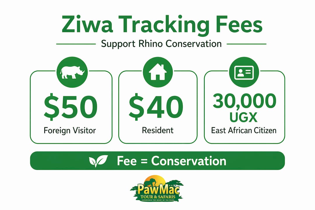 Infographic with three fee categories for rhino tracking