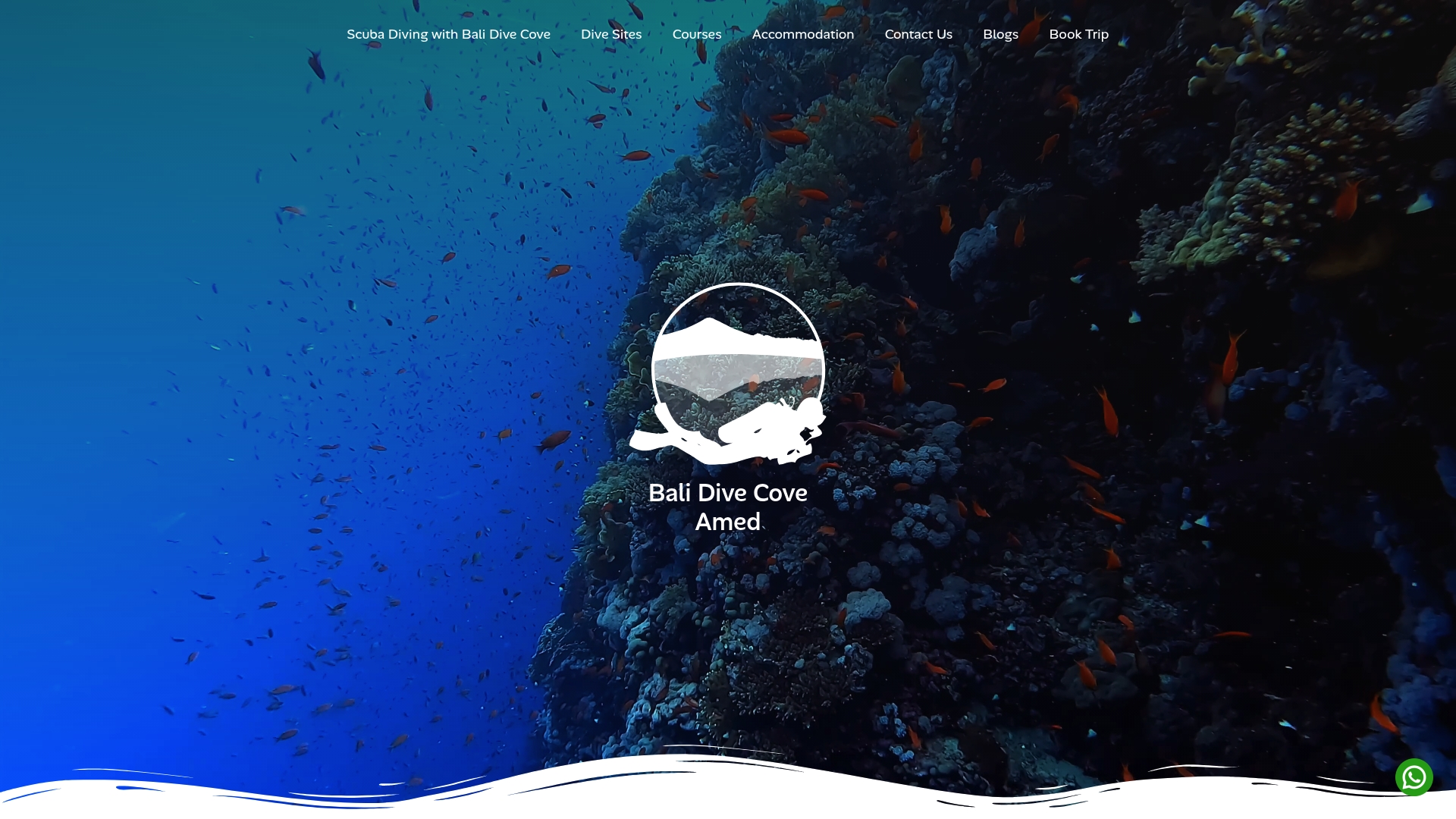 https://balidivecove.com