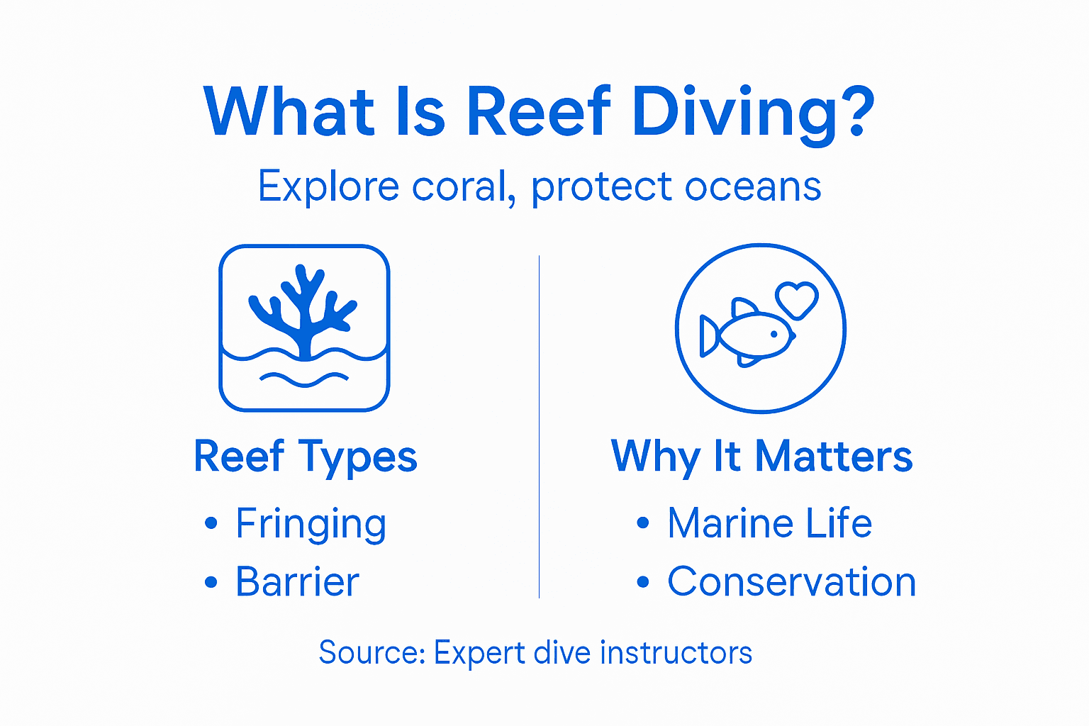 Infographic showing reef types and conservation benefits