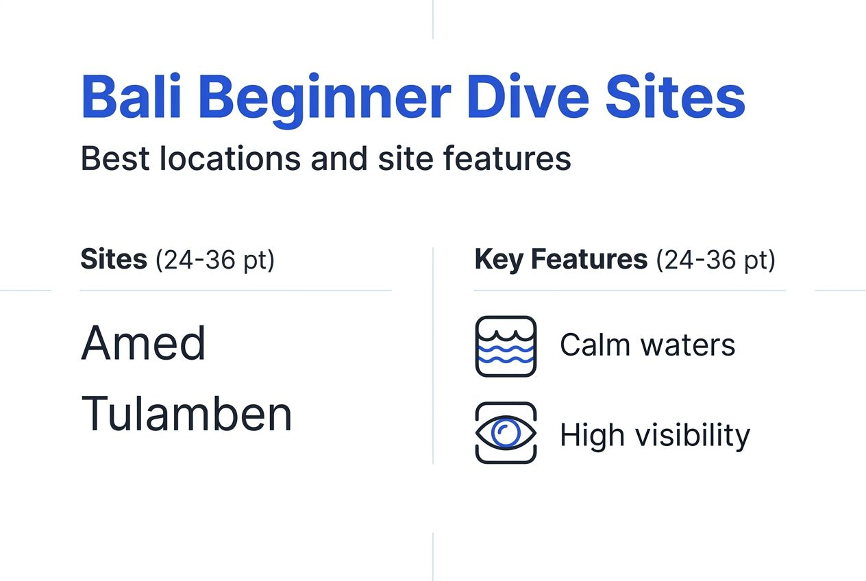 Infographic about Bali beginner-friendly dive sites