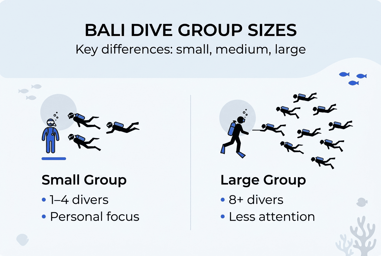 Infographic comparing small and large Bali dive groups