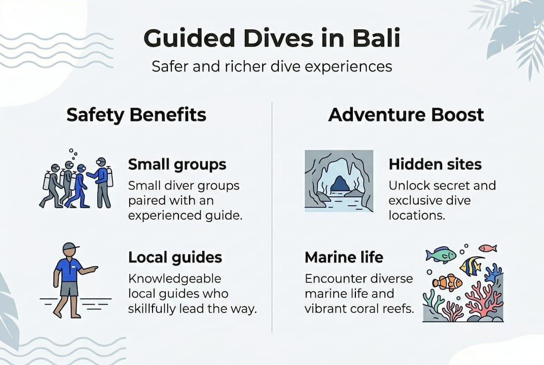 Infographic highlighting Bali guided dive safety and adventure