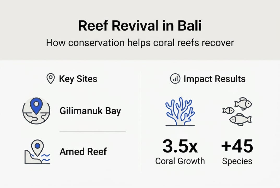 Infographic on Bali coral reef restoration successes