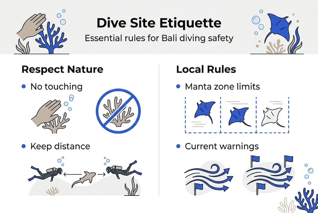 Infographic showing Bali diving etiquette essentials