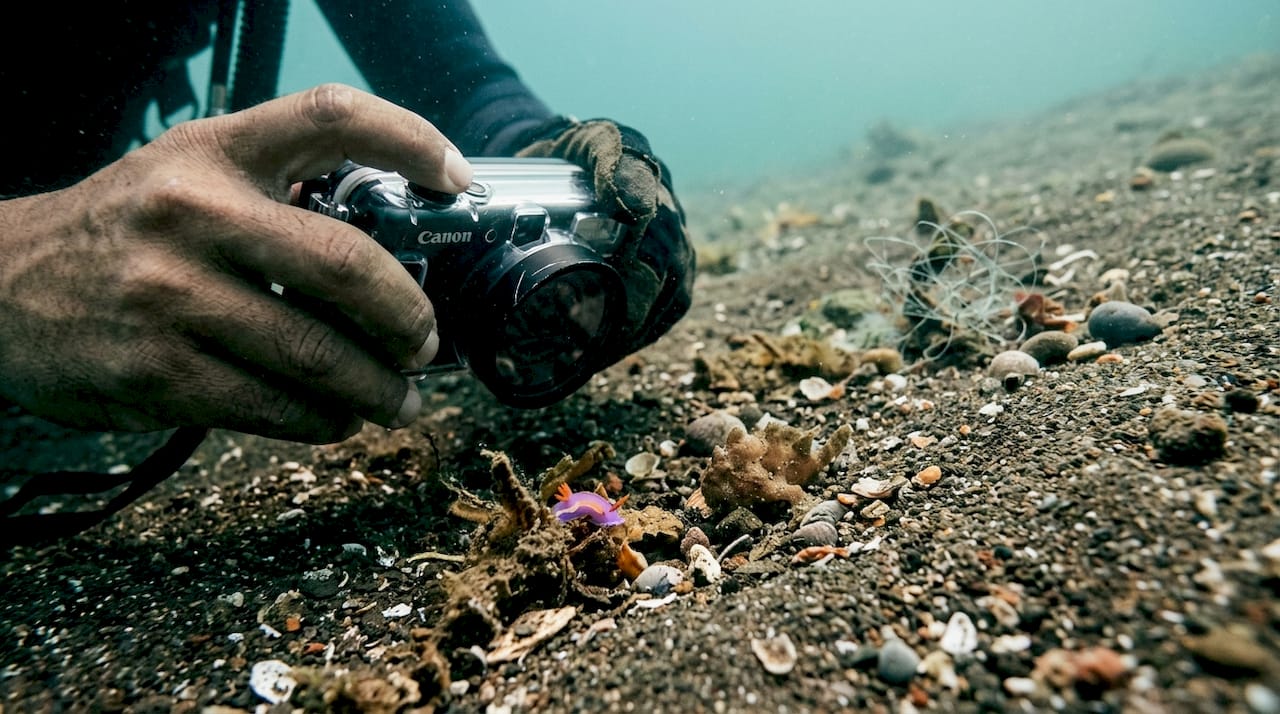 Macro camera photographing Bali muck dive creatures
