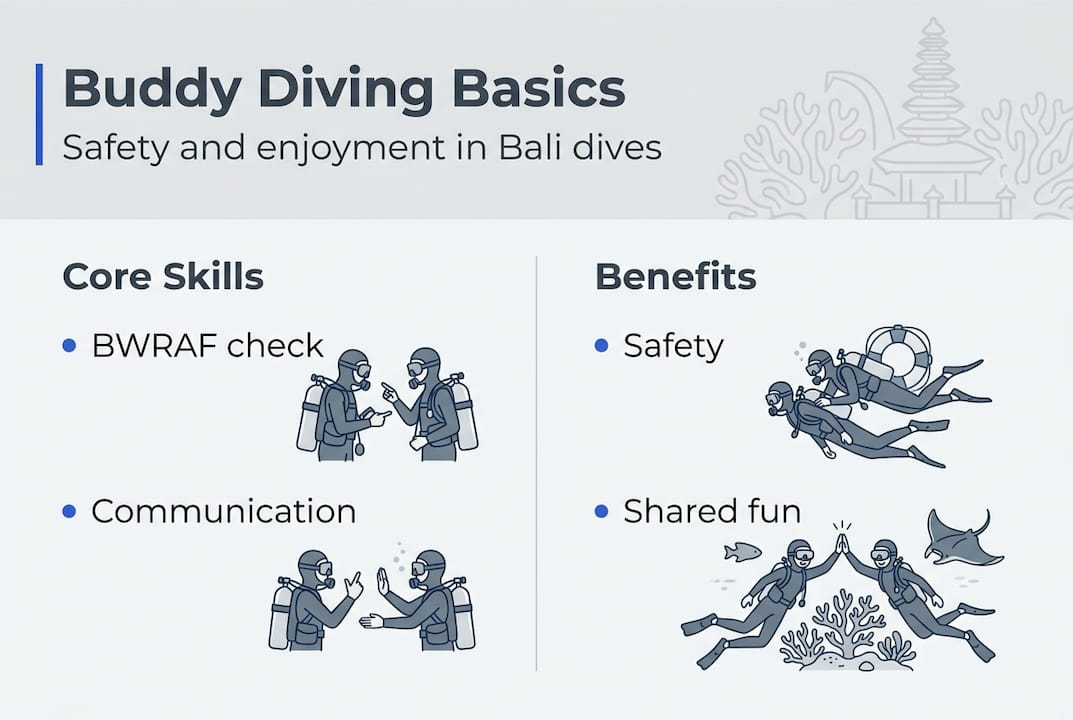 Infographic of buddy diving Bali key skills
