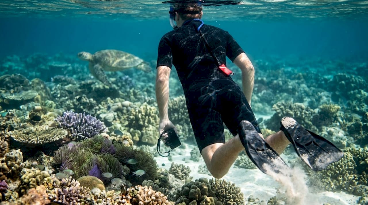 Snorkeler above Bali reef and sea turtle