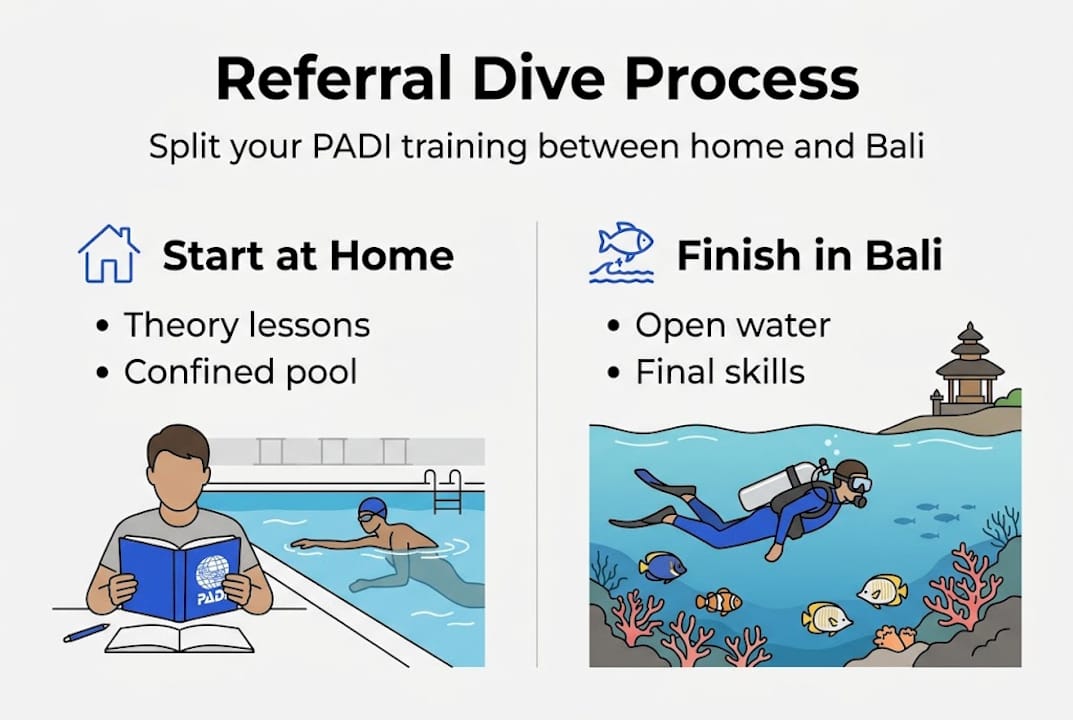 Infographic shows referral dive steps from home to Bali