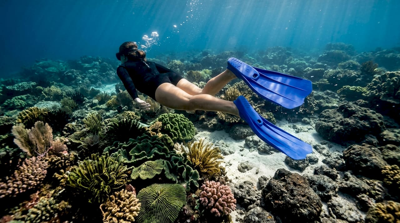 Diver using fins over Bali coral reef