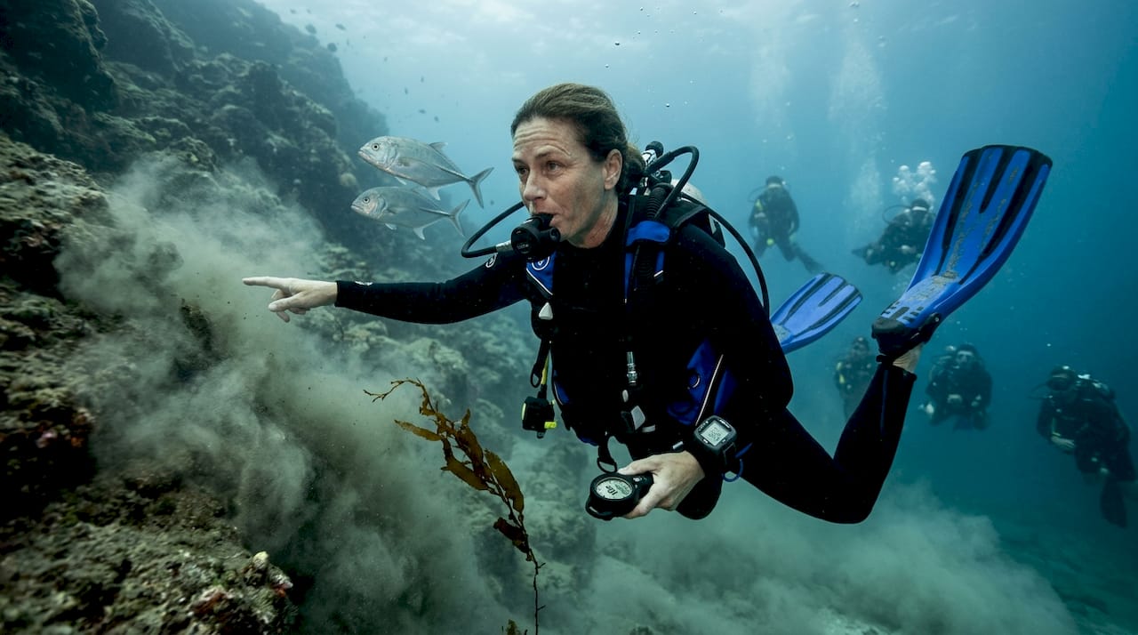 Dive instructor monitors changing underwater visibility