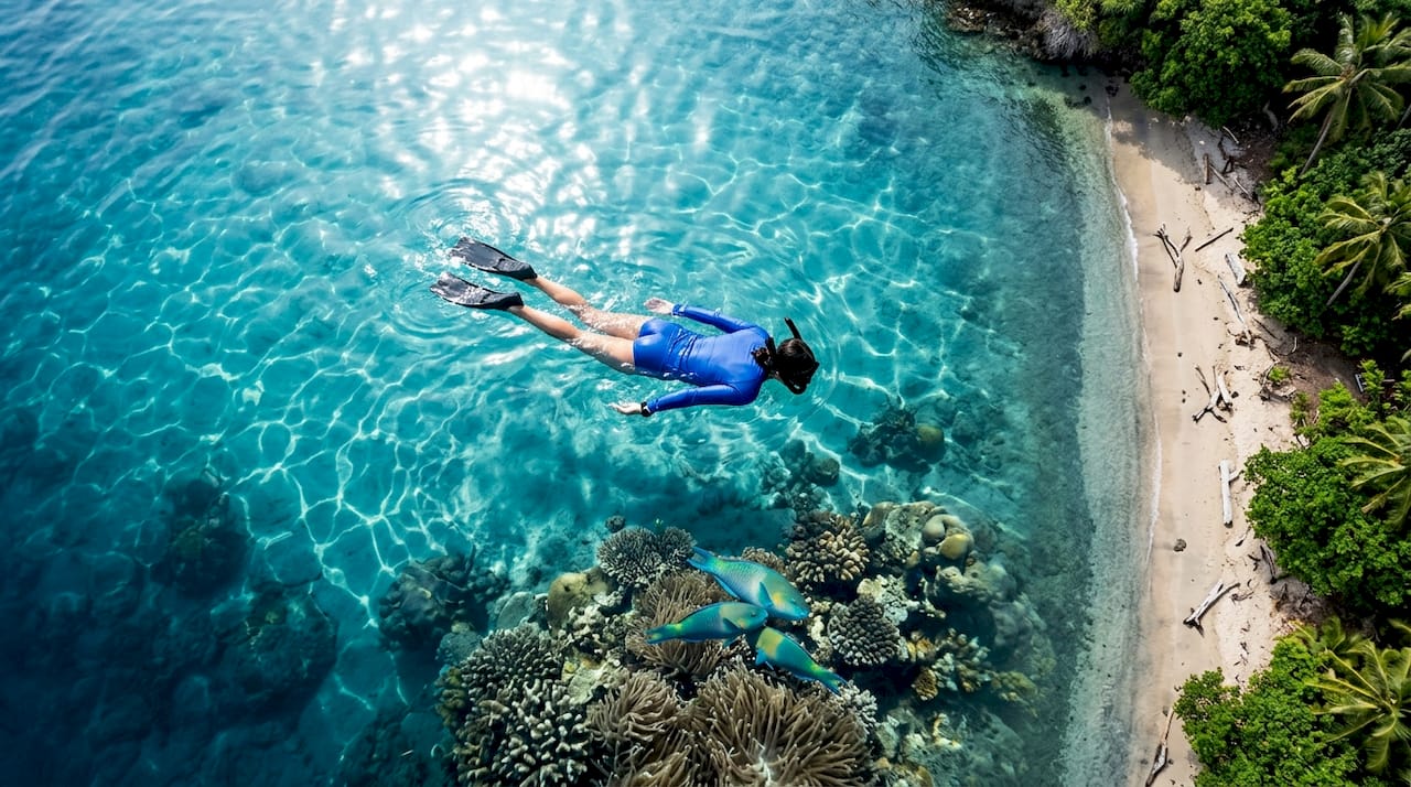 Snorkelers observing marine life over calm reef