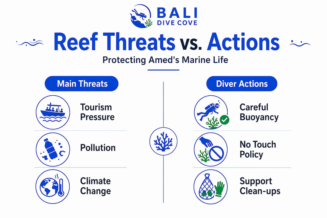 Infographic contrasting Amed reef threats with diver actions