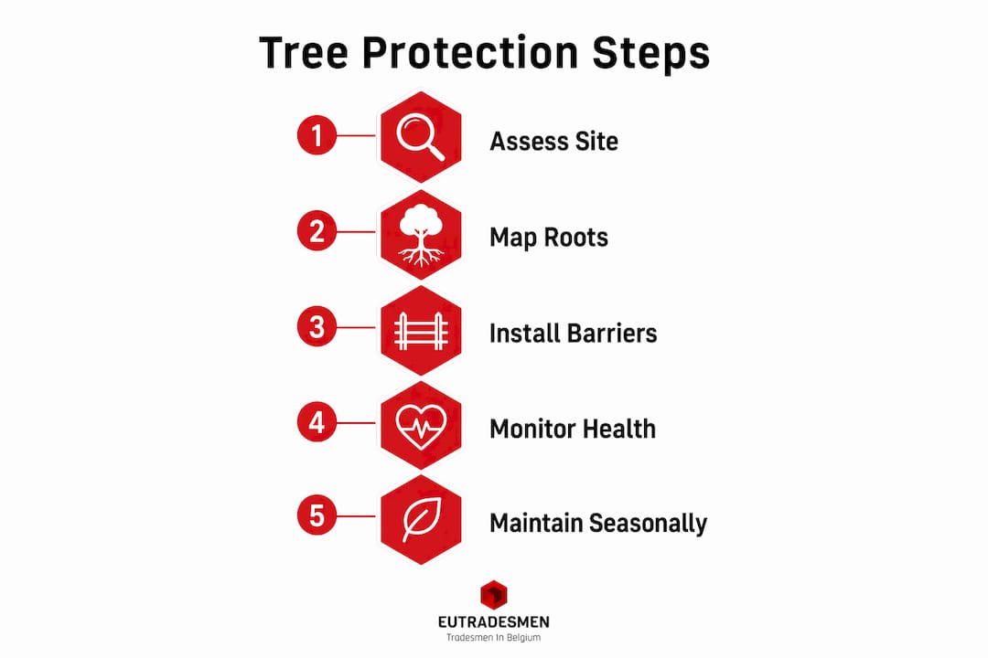 Infographic illustrating key steps to protect trees effectively