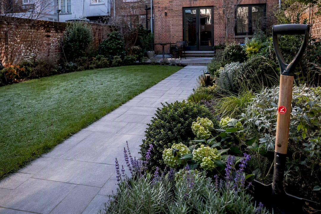 Brussels garden showing balanced planting and paving