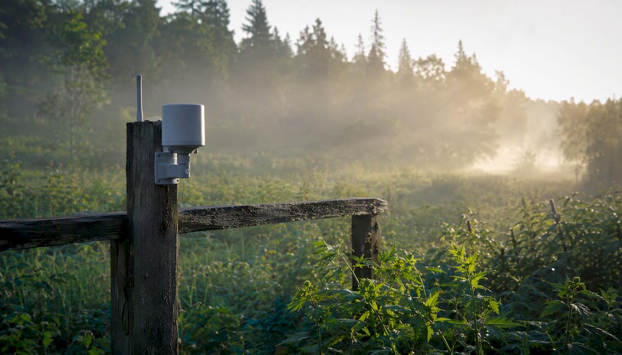 Sensor industrial IoT i montuar jashtë