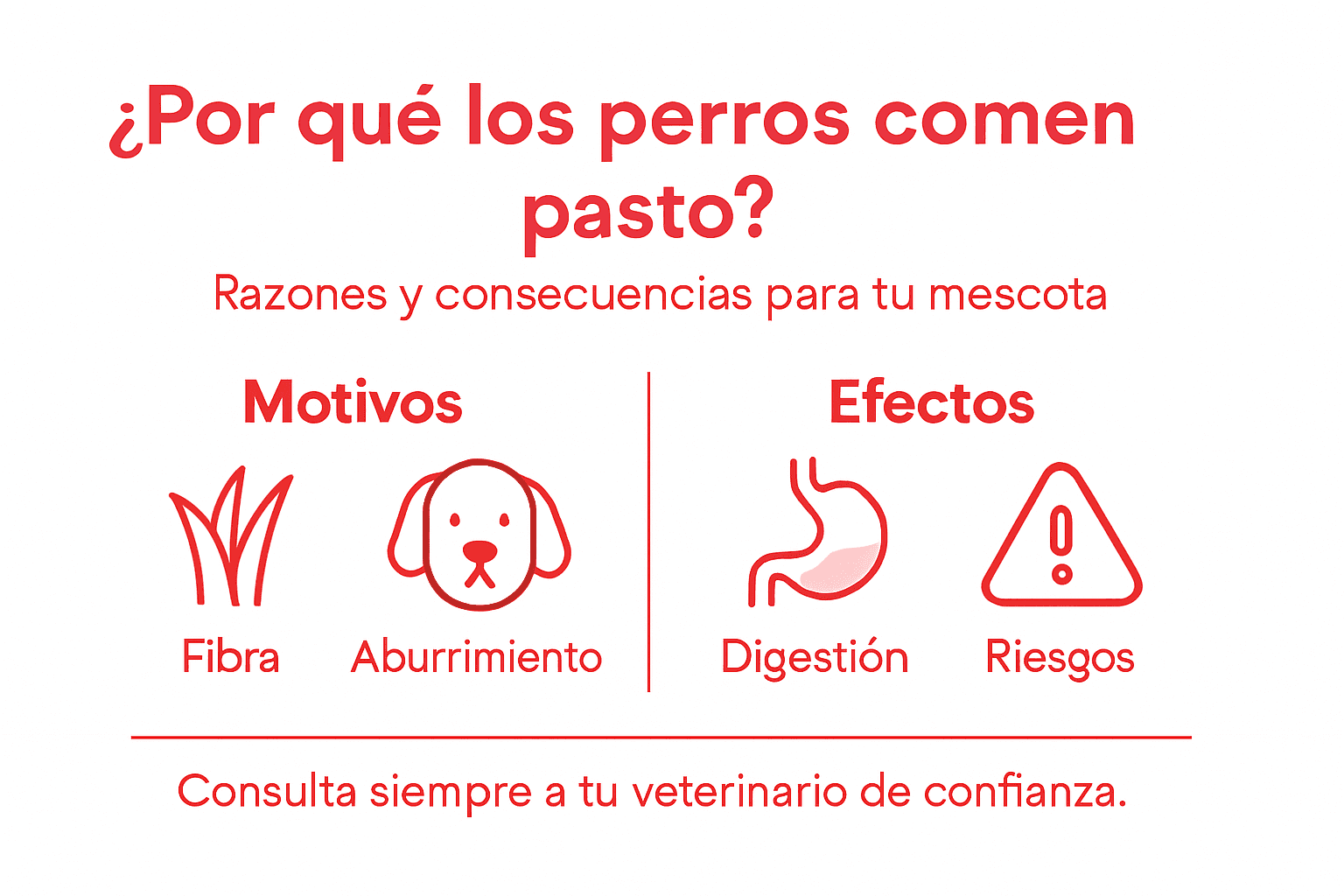 Infografía: ¿Por qué los perros comen césped y qué consecuencias tiene este hábito?