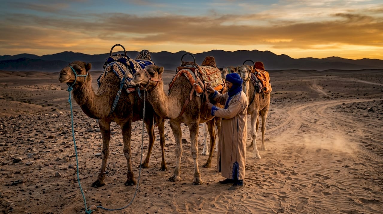 Morocco Camel Riding Tours: Your Desert Adventure Guide 1 Camels and guide at Agafay Desert tour start