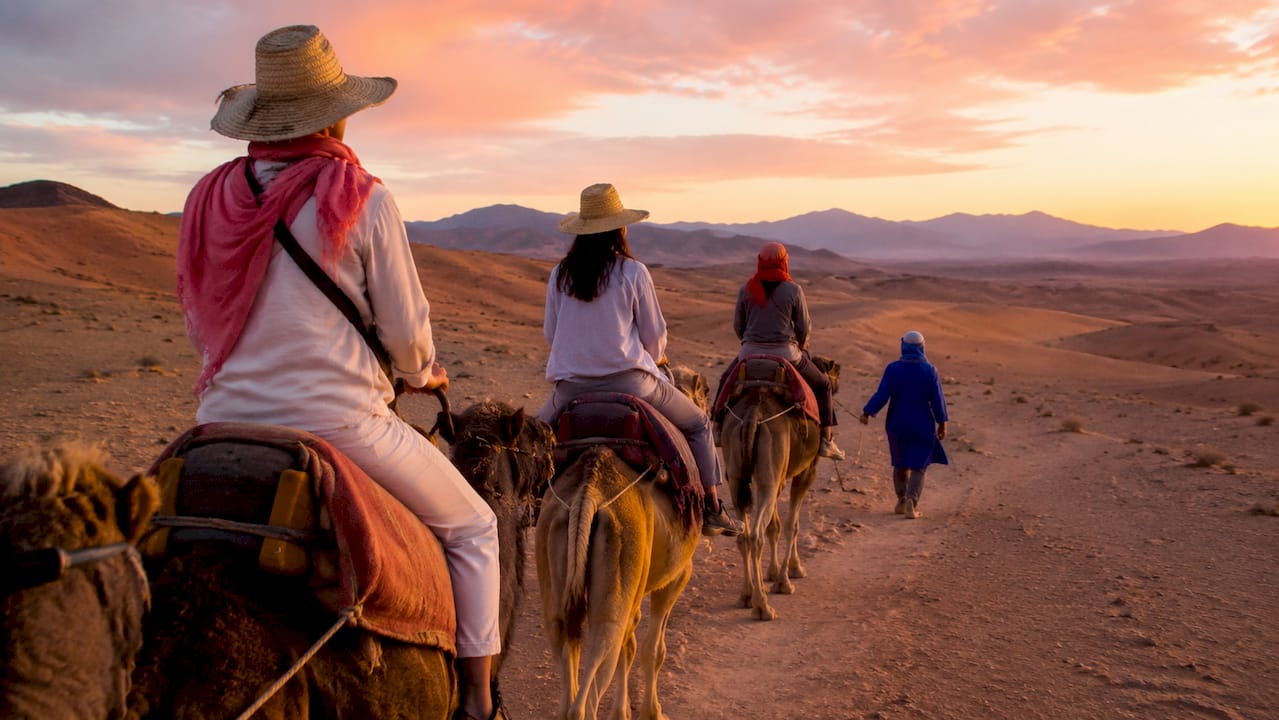 Tourists camel trekking in Sahara desert at sunset